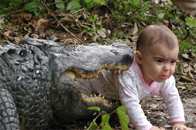 bbycroc.jpg